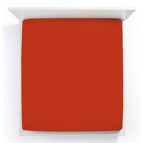 cumpără Lenjerie de pat Formesse 035-13-0705 Fitted Sheet Bella Gracia standard 140x190-160x220 Jaffa în Chișinău 