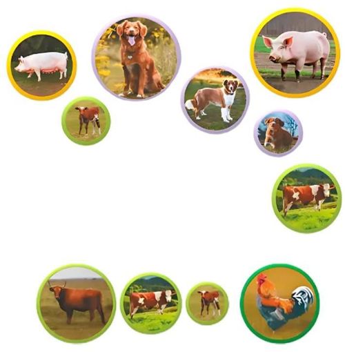 купить Настольная игра Dodo 200271 Joc magnetic: Familiile de animale, 36el в Кишинёве 