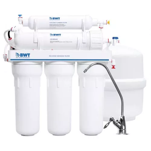 купить Фильтр проточный для воды Ecosoft Sistem cu osmoza inversa BWT (cu mineralizator) в Кишинёве 