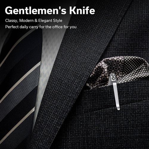 купить Нож походный Sencut S20029-3 Jubil, G10 gri, Liner Lock в Кишинёве 