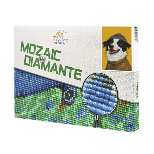 cumpără Tablou pe numere Art Gallery XQC80018 Mozaic cu diamante 20x30cm Caine misto în Chișinău 