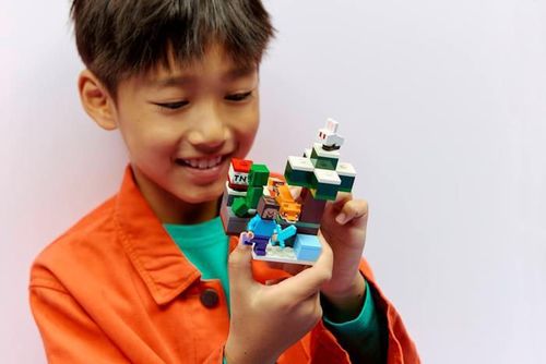 купить Конструктор Lego 21583 Steve's Taiga Adventure в Кишинёве 