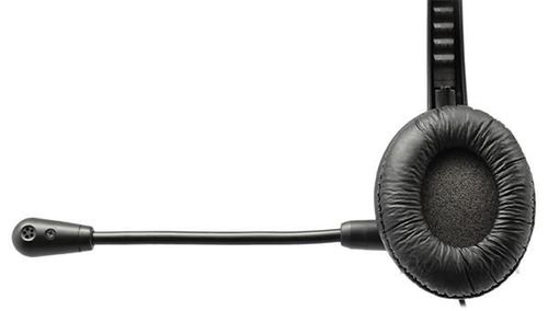 купить Наушники с микрофоном Panasonic RP-TCA400E-K в Кишинёве 