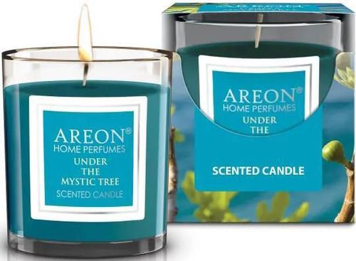 cumpără Aparat de aromatizare Areon Home Perfume Sticks 150ml + свеча (Under the Mystic Tree) în Chișinău 
