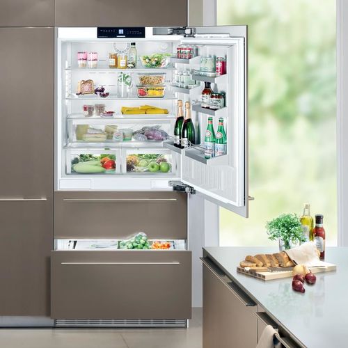 купить Встраиваемый холодильник Liebherr ECBN 5066 в Кишинёве 
