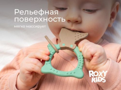 cumpără Iinel dentiție Roxy Kids RBT20033 FOX, оливковый în Chișinău 