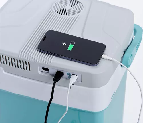 купить Холодильник портативный Peme Ice-on 32 Cool Mint в Кишинёве 