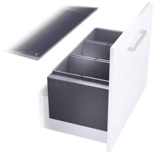 cumpără Coș de gunoi Hailo 3631981 Triple XL 900 în Chișinău 