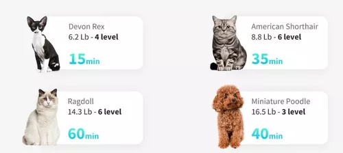 купить Товар для животных Petkit AirSalon Max в Кишинёве 