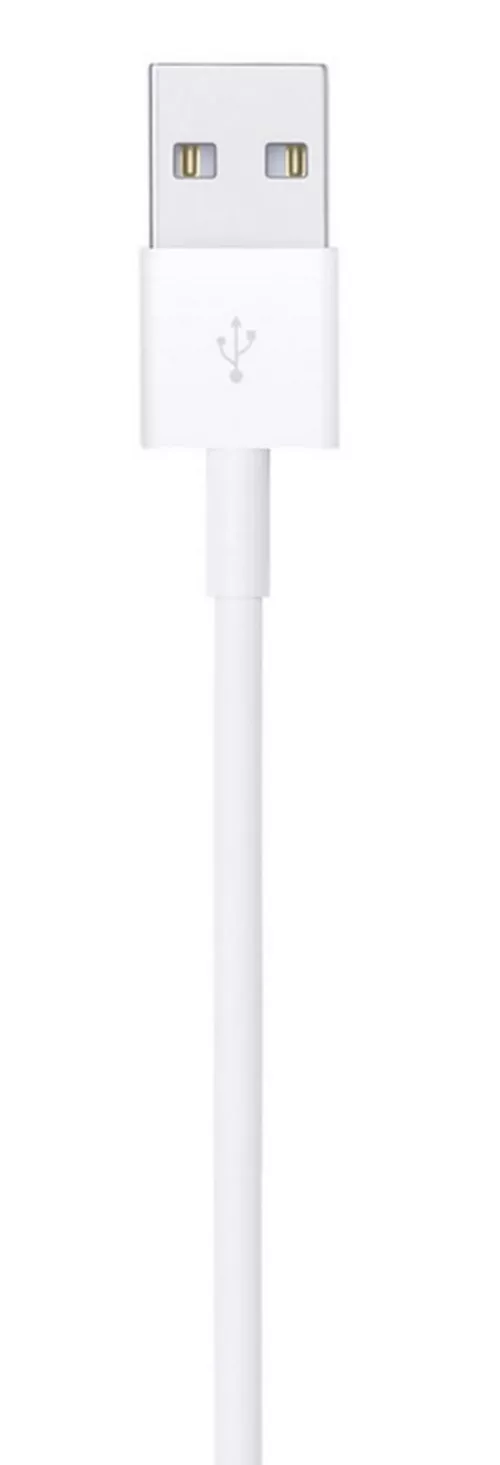 cumpără Cablu telefon mobil Apple Lightning to USB Cable 0.5 m ME291 în Chișinău 