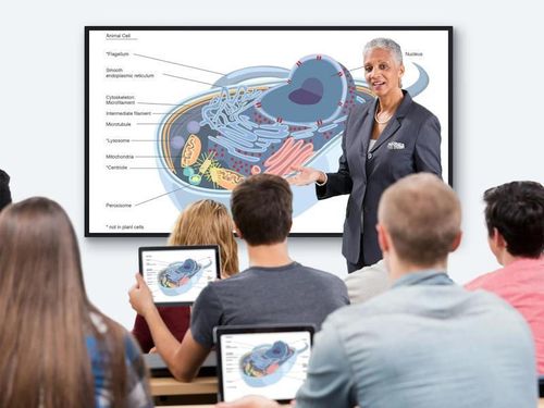 купить Интерактивный дисплей Viewsonic CDE5530, Commercial Presentation Display 55" в Кишинёве 