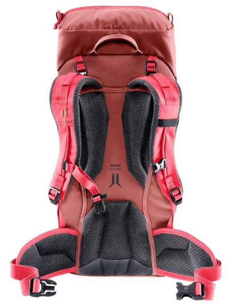 cumpără Rucsac turistic Deuter Climber 22 redwood-hibiscus în Chișinău 