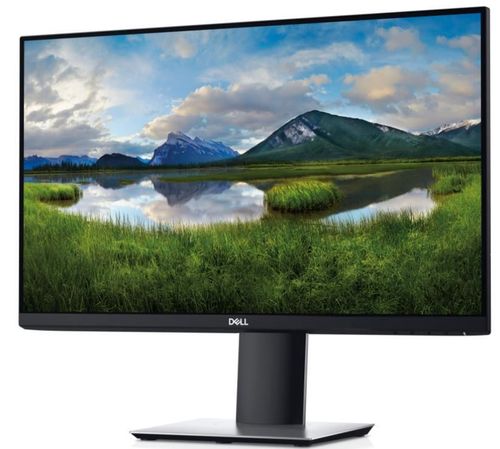 cumpără Monitor Dell P2421D în Chișinău 