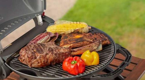 cumpără Grătar O-Grill IM14578 gratar pe gaz 900T diverse culori în Chișinău 