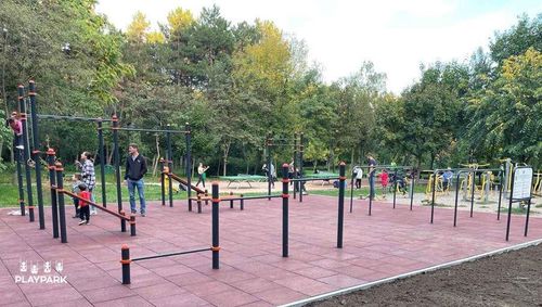 купить Уличный тренажер PlayPark WORKOUT C-049 в Кишинёве 