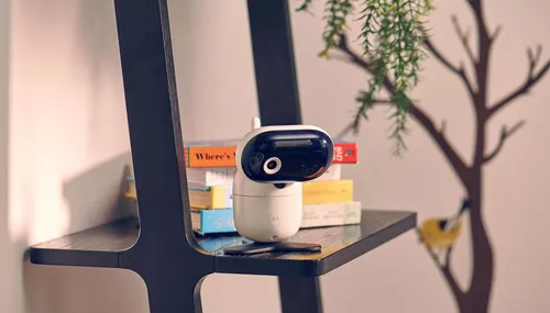 купить Видеоняня Motorola PIP1010 Connect в Кишинёве 