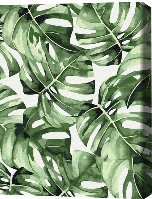 купить Картина по номерам BrushMe BS53697 40x50 cm (în cutie) Monstera exotică в Кишинёве 