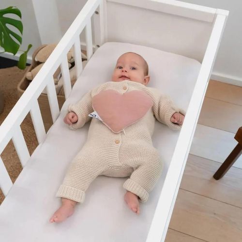 cumpără Accesoriu pentru cei mici Doomoo SY30 Pernita termica anti-colici din bumbac organic Snoogy Love Pink-SY în Chișinău 
