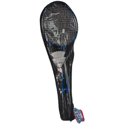 купить Спортивное оборудование Essa 1802H10 Set de badminton в Кишинёве 
