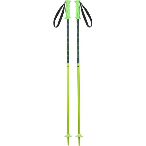 купить Лыжные палки Elan HOT ROD JR green 100 в Кишинёве 