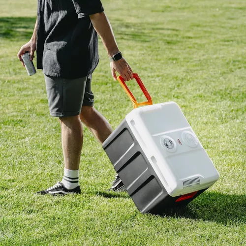 cumpără Frigider portabil Camry CR 8093 în Chișinău 