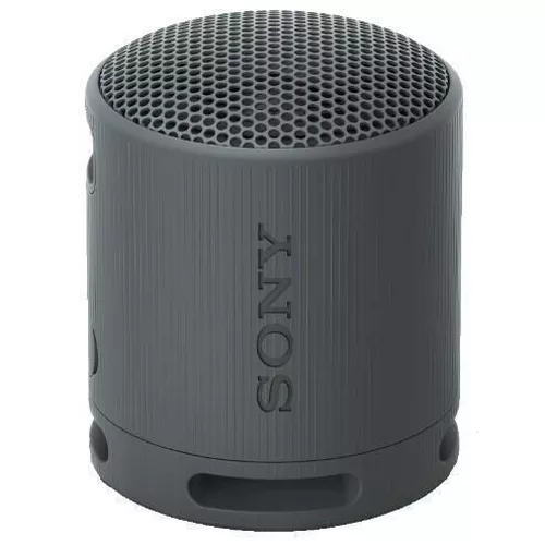 cumpără Boxă portativă Bluetooth Sony SRSXB100B în Chișinău 