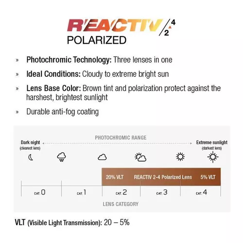 cumpără Ochelari de protecție Julbo LEGACY BLACK/RED R24PL în Chișinău 