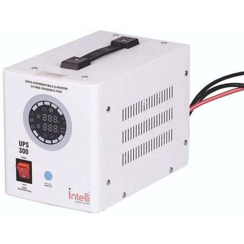 cumpără Sursă neîntreruptibilă UPS Intelli Automat de protectie 300/500VA/12 350W (85816) în Chișinău 