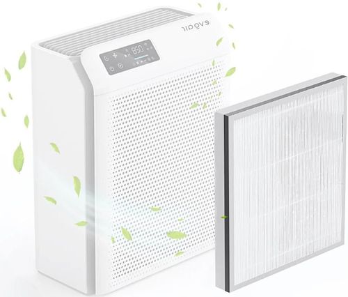 купить Фильтр для очистителя воздуха EvoAir HOMI P300, 3in1, Filtru True HEPA, Filtru Carbon Activ в Кишинёве 