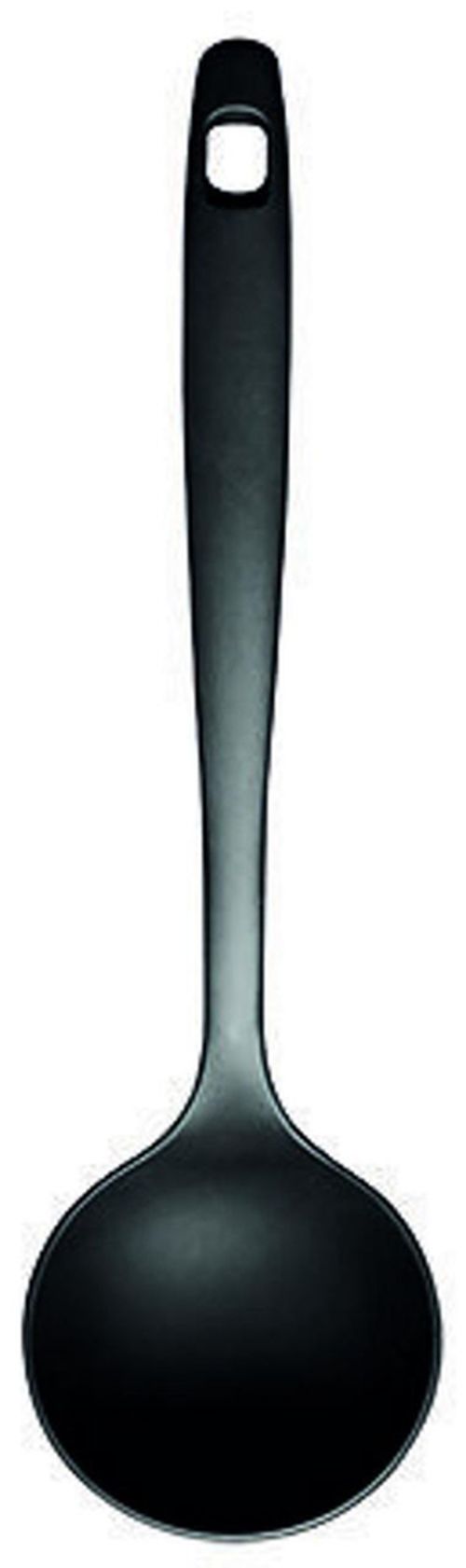 купить Половник кухонный Ghidini 45166 Eccomi 32cm, нейлон/стекловолокно в Кишинёве 