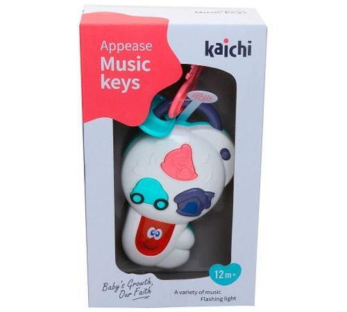 купить Игрушка Kaichi KAYDIG025KA82B Ключи муз/свет в Кишинёве 