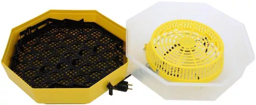 купить Товар для животных Technoworker Incubator cu dispozitiv de intoarcere oua si termometru CLEO 5DT/ INC3 (84362100) в Кишинёве 