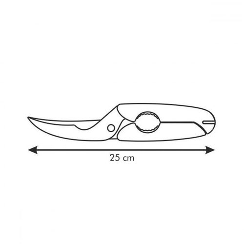 cumpără Foarfecă Tescoma 888230 Pentru pasare Presto 25cm în Chișinău 