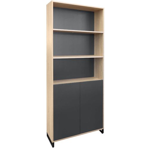 cumpără Dulap de birou Deco Combi 2 usi 900x340x2100h în Chișinău 