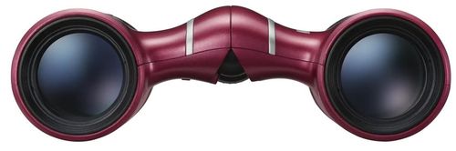 купить Бинокль Nikon Aculon T02 8x21 Red в Кишинёве 