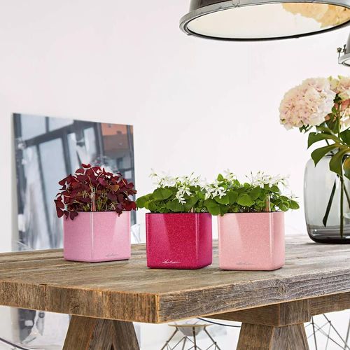 купить Цветочный горшок Lechuza Cube Glossy 14, Cherry Pie Glitter в Кишинёве 