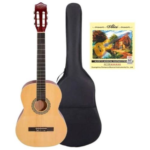 купить Гитара Enjoy G3901 4/4 NT set 5 в Кишинёве 