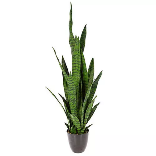 купить Декор Promstore 49465 Planta artificiala Sansevieria 92cm, in ghiveci в Кишинёве 