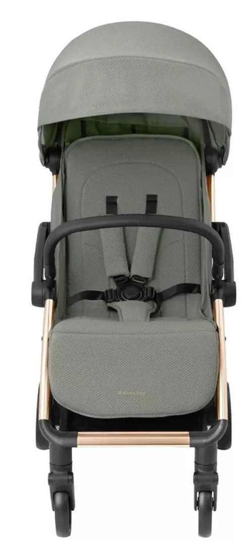 cumpără Сărucior pentru copii Kikka Boo 31001030157 Eden Army Green în Chișinău 