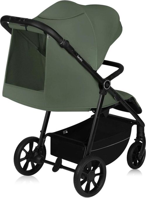 купить Детская коляска Lionelo Iva Green Forest в Кишинёве 