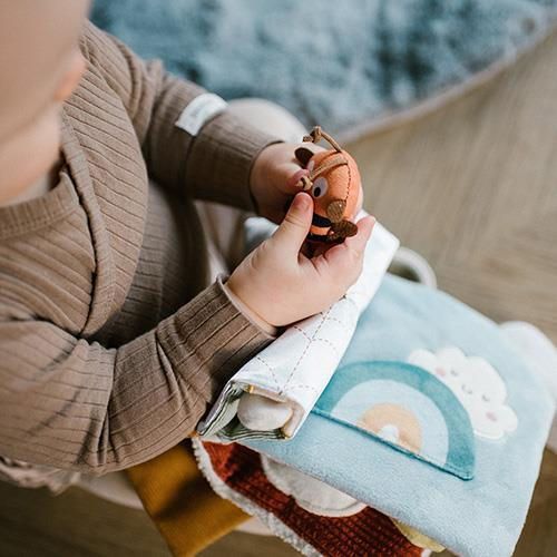 купить Игрушка BabyOno 1531 Cartea educativa NATURE в Кишинёве 