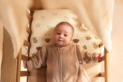 купить Детское постельное белье Jollein 003-005-68047 Set husa pentru plapuma si perna Miffy and Friends, 140x100cm в Кишинёве 