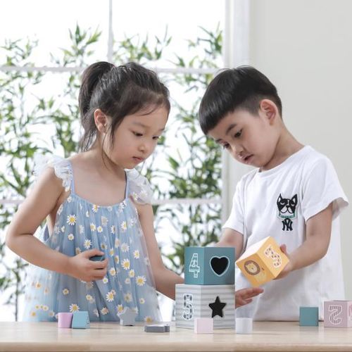 купить Головоломка Viga 44016 Piramidă-cuburi din lemn Sortăm și construim в Кишинёве 