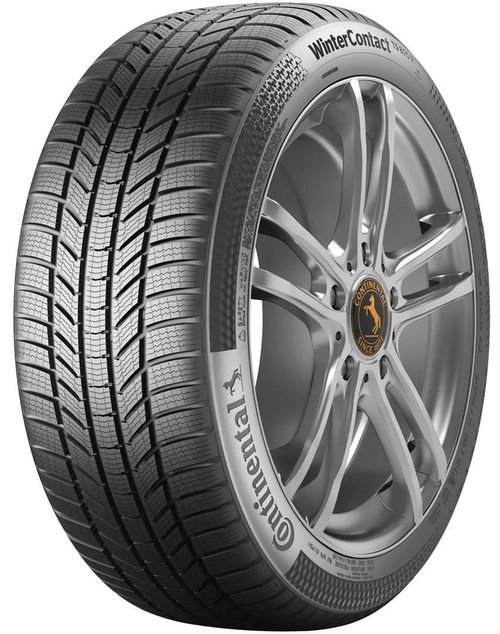 купить Шина Continental 245/50 R20 105H WinterContact TS 870 P XL в Кишинёве 