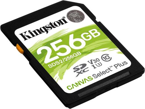купить Флеш карта памяти SD Kingston SDS2/256GB в Кишинёве 