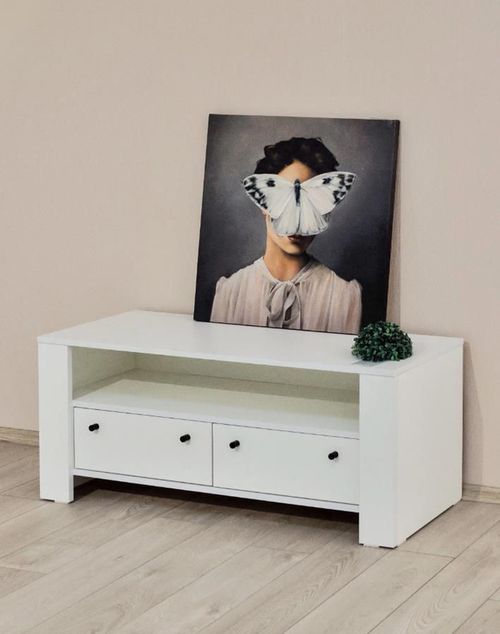 купить Тумба напольная для TV Fabrik Home Belfort Белый ясень (тумба для TV) в Кишинёве 