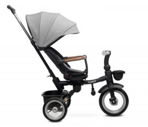 купить Велосипед-коляска Toyz 0365 Saber Grey в Кишинёве 