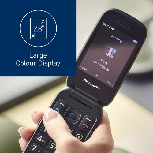 cumpără Telefon mobil Panasonic KX-TU550EXR în Chișinău 