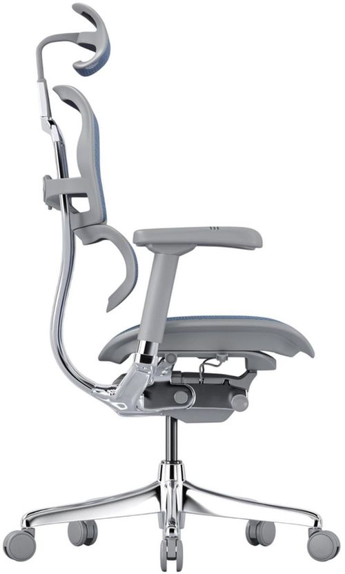 купить Офисное кресло ART Ergohuman Elite 2 Cobalt T-168-B4 EHE2-AG-HAM-5D-L в Кишинёве 