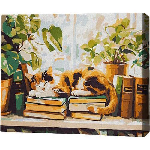 купить Картина по номерам BrushMe RMG0042FC 30x40 см (без коробки) Спящий среди книг в Кишинёве 